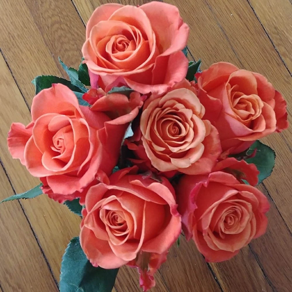 Meet your Posher, Heather